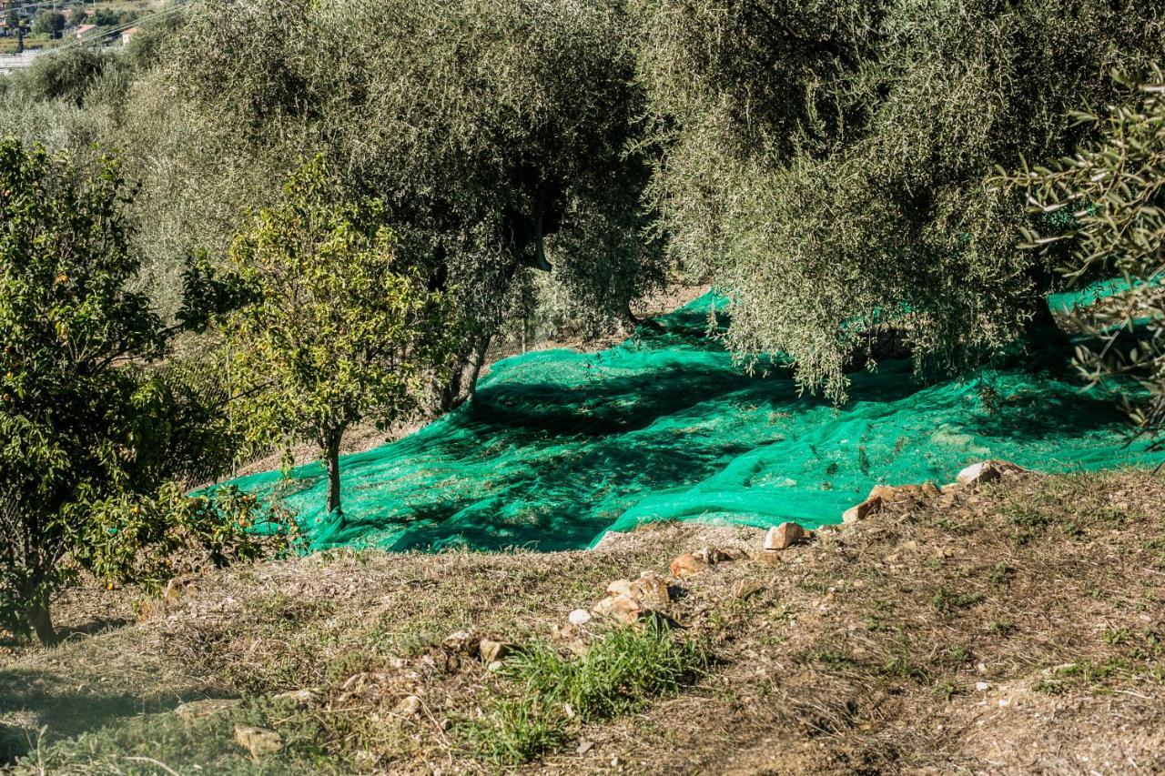 Le Raganelle Oneglia Bagian luar foto